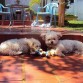 Les quiero!!